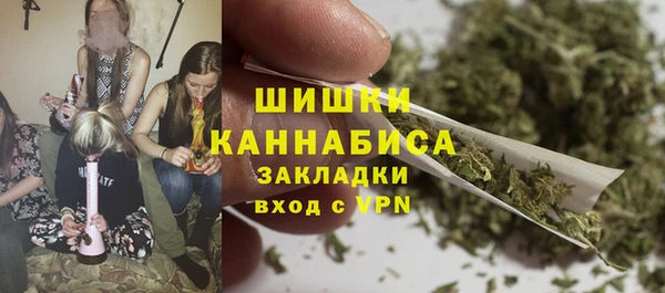 ГАЛЛЮЦИНОГЕННЫЕ ГРИБЫ Пересвет