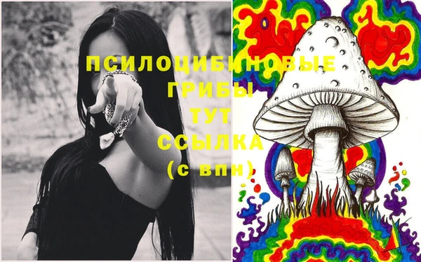 ALPHA PVP Верхнеуральск