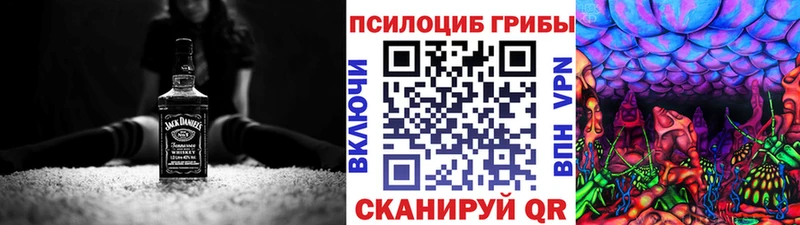 darknet состав  как найти закладки  Камешково  Галлюциногенные грибы Psilocybine cubensis 
